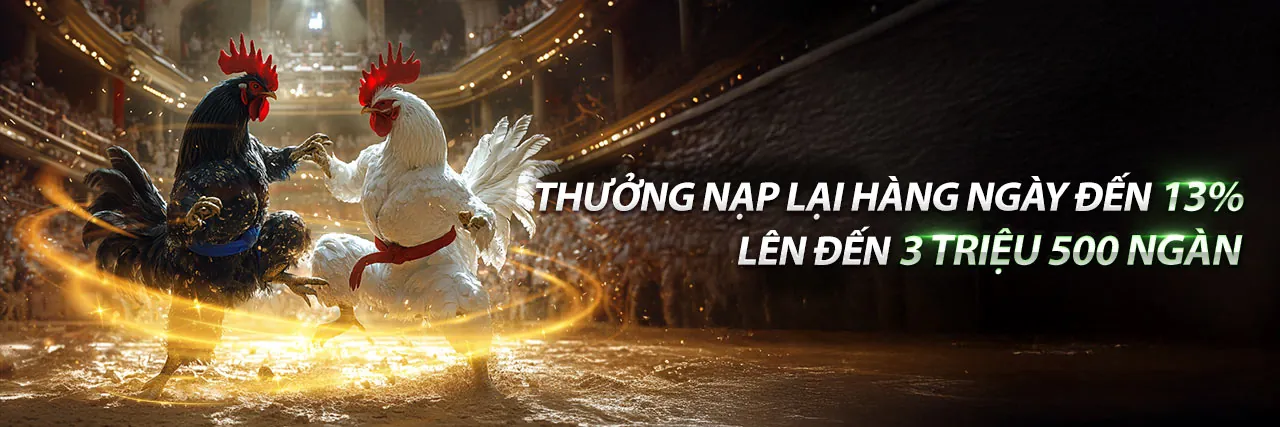 Đá Gà Trực Tuyến Hấp Dẫn trên vz999 app