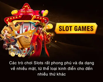 Các cấp độ VIP của vz999 App